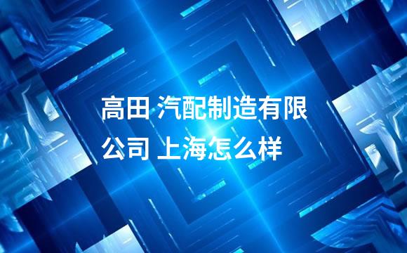 高田 汽配制造有限公司 上海怎么样